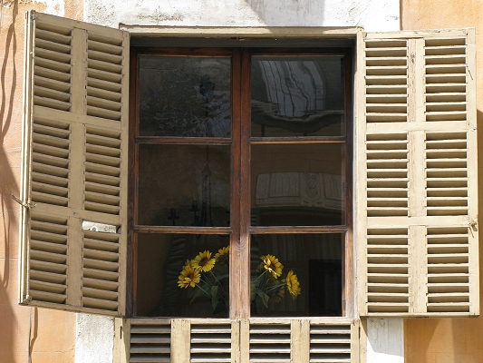 Solsikker i vindue i Palma